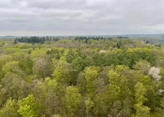 Bezaubernder Landblick * تيميندورفير ستراند